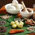 Exploring Traditional African Medicine: A Natural Solution for Health Issues