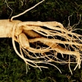 The Healing Power of Ginseng: A Comprehensive Look at Herbal Remedies