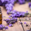 Lavender Medicinal Uses for Natural Health Solutions