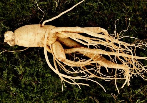 The Healing Power of Ginseng: A Comprehensive Look at Herbal Remedies