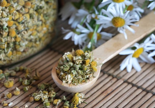 The Healing Power of Chamomile: A Comprehensive Guide