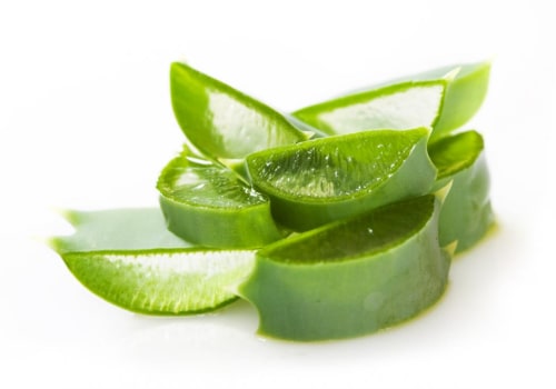 The Power of Aloe Vera: Medicinal Uses for Skin, Hair, and Weight Loss